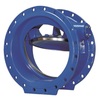 Check valve Series: SKR Type: 21190 Ductile cast iron/Stainless steel Swing type Straight PN10 Flange DN200